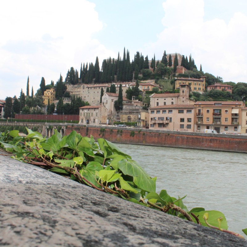 Verona's river
